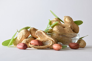 Group of peeled and unpeeled peanuts white isolated, a Food & Drink Photo by Davizro's Market