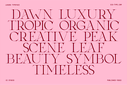 Laxura – Elegant Ligature Serif Font, a Serif Font by CCS Type (Thumbnail 4 of 16)
