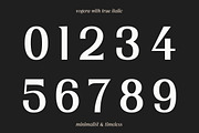 Vogera Minimal Editorial Serif, a Serif Font by Lettertype Studio (Thumbnail 12 of 15)