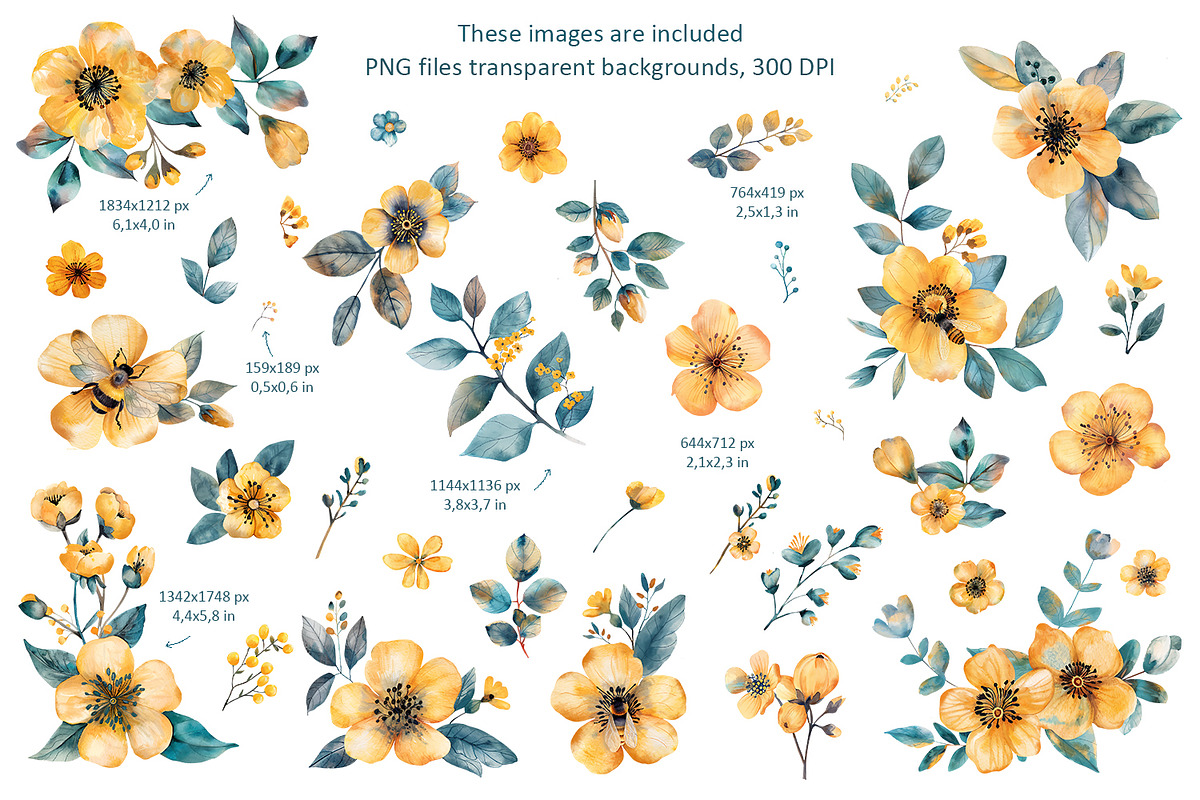 Bees and flowers watercolor clipart, a Seasonal Illustration by Anna Druzhkova (Photo 2 of 17)