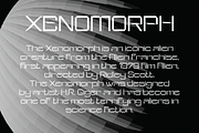 Vorgent, a Sans Serif Font by Zaloma Studio (Thumbnail 10 of 12)