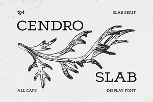 Cendro Slab - Slab Serif Font, a Slab Serif Font by Tiga Type