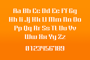 Rigaster Font, a Serif Font by IWMType (Thumbnail 5 of 6)