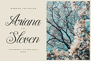 Mewskia | Modern Calligraphy Font, a Script Font by gracetype_studio (Thumbnail 3 of 14)