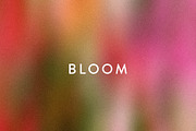 Etudes in Bloom - Blurry Backgrounds, a Background Graphic by Dina Mae (Thumbnail 6 of 13)