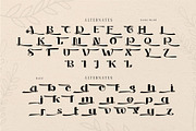 Roller Alika, a Serif Font by alit design (Thumbnail 4 of 14)