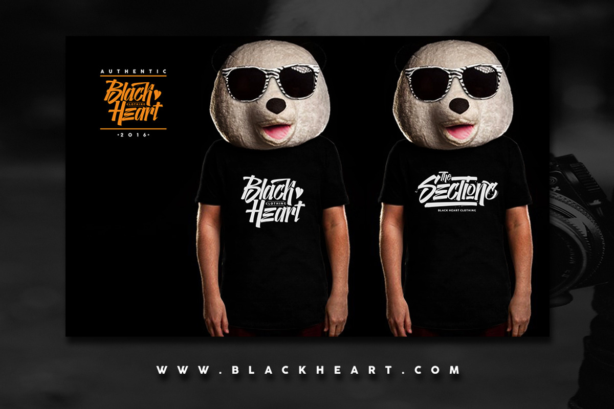 The Sectione Bright preview 3