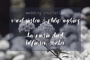 Sigmond Font, a Script Font by SophieSaxo (Thumbnail 6 of 9)
