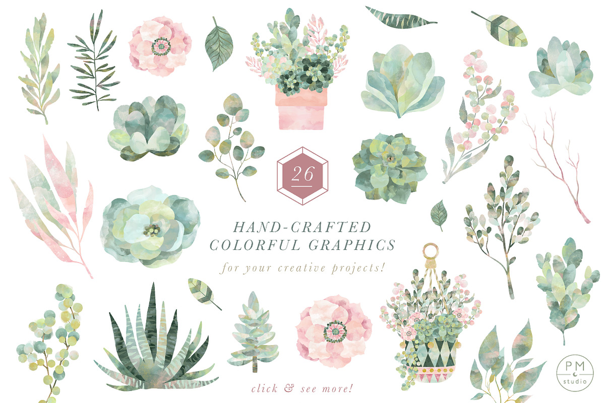 Lush Succulent Bundle, an Illustration by PetiteMarket (Photo 5 of 5)