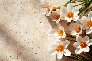 Beautiful flowers on beige background, a Nature Photo by AlyaAnd