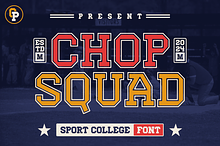 Chop Squad - Modern Serif Font