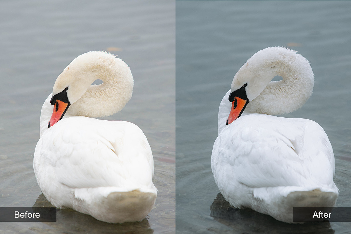Nature Preset Pack 4, a Preset Add-On by MadeRed (Photo 2 of 11)
