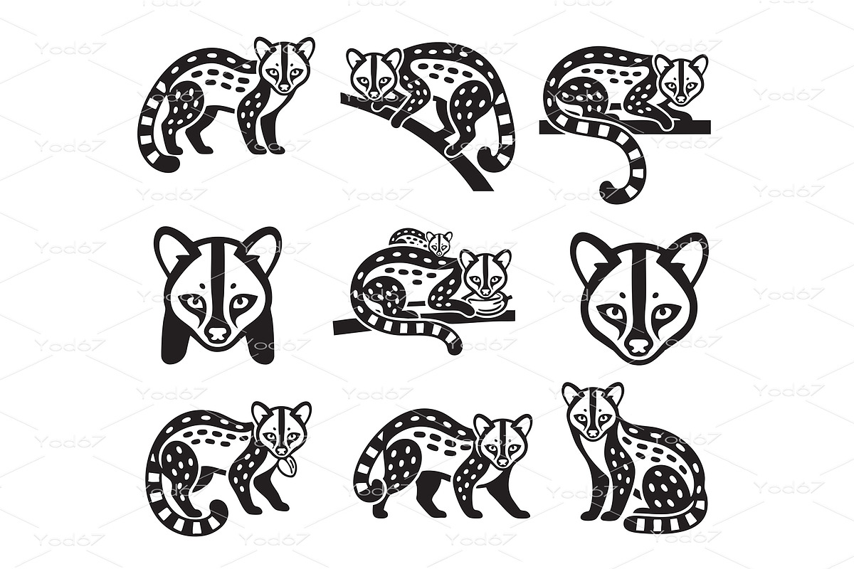 vector set Genets (viverrids), an Animal Illustration by yod67