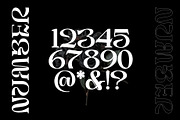 Struick Display Serif, a Serif Font by Violet Natural (Thumbnail 5 of 10)