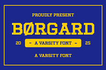 Borgard – Varsity Slab Serif Font