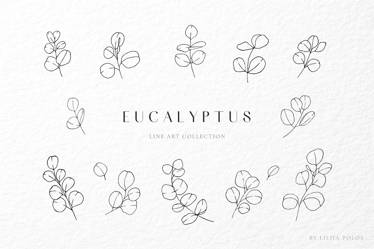 Eucalyptus watercolor illustrations, a Decorative Illustration by Liliia Polos Illustration (Photo 7 of 11)