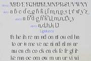 Stivra – Serif Font Family, a Serif Font by NDNL Studio (Thumbnail 11 of 11)