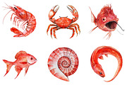 Red Ocean Animals Sublimation PNG Bu, an Illustration by DreamArtGraphic (Thumbnail 3 of 4)