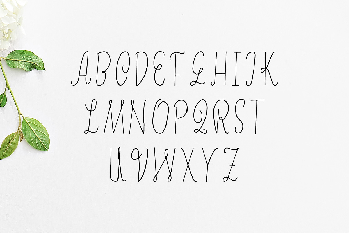 Erica Script Font preview 2