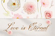 Ms Greillay | Modern Calligraphy, a Script Font by Denustudios (Thumbnail 5 of 15)