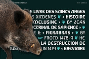 Schaberstein, a Sans Serif Font by Typogama (Thumbnail 12 of 13)
