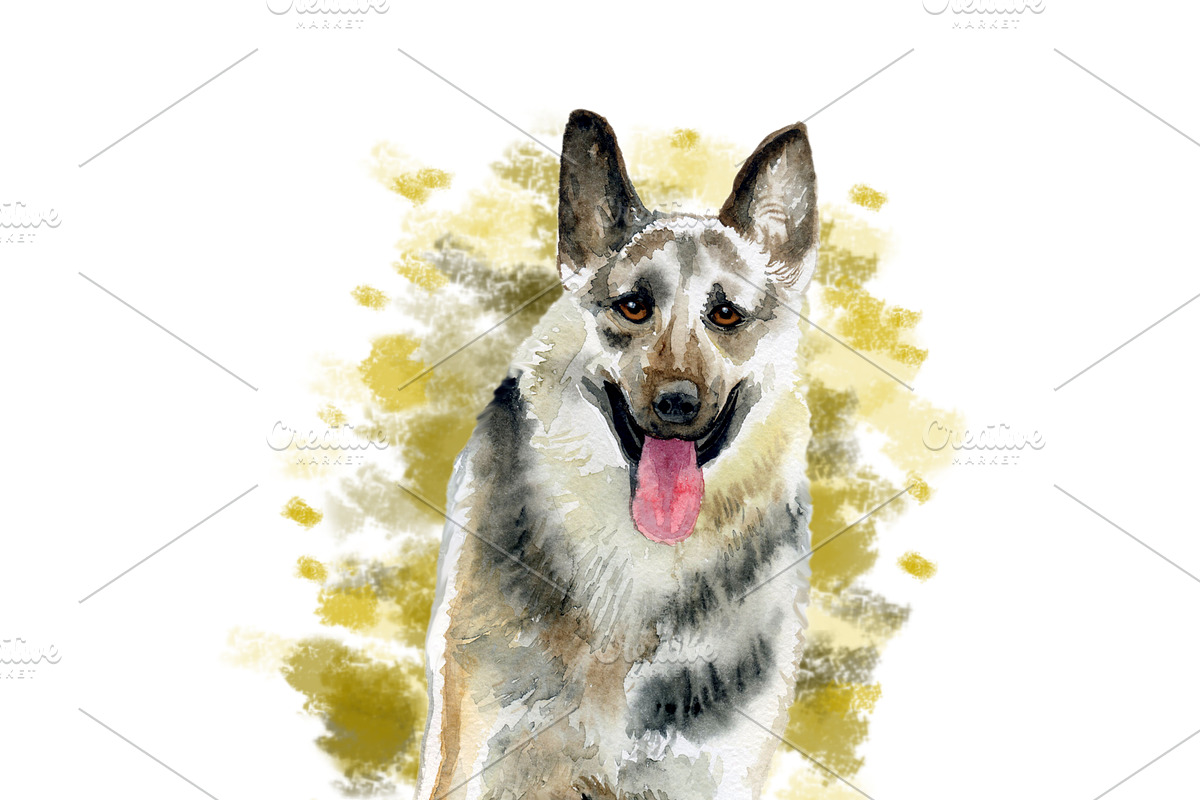 Watercolor Dogs Mega Big Bundle, an Illustration by Dneprstock (Photo 24 of 60)