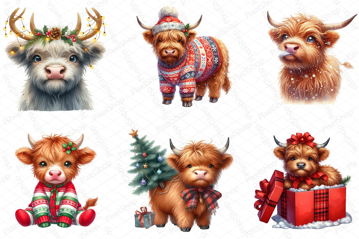Christmas Highland Cow Clipart PNG, an Illustration by DreamPrint404 (Photo 4 of 4)