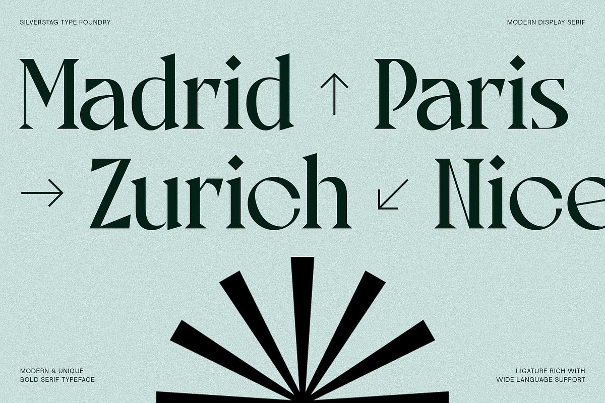 Tangled Rockaway Vintage Serif Font, a Serif Font by SilverStag Type Foundry (Photo 2 of 18)