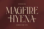 Magfire Hyena Modern Serif Font, a Serif Font by Storytype Studio (Thumbnail 1 of 15)