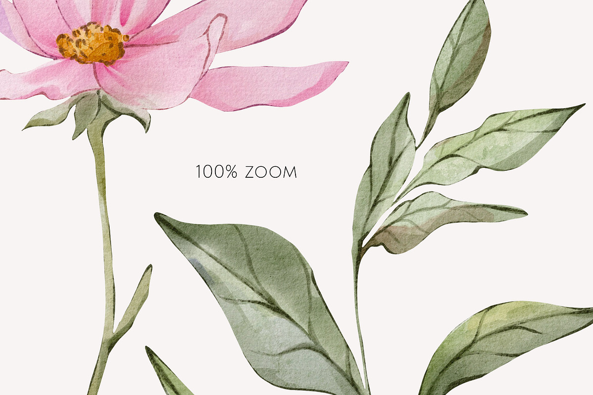 FIELD watercolor wildflowers, a Decorative Illustration by Yuliia Lashevska (Photo 3 of 13)