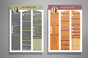 Professional Resume CV 3 Colors