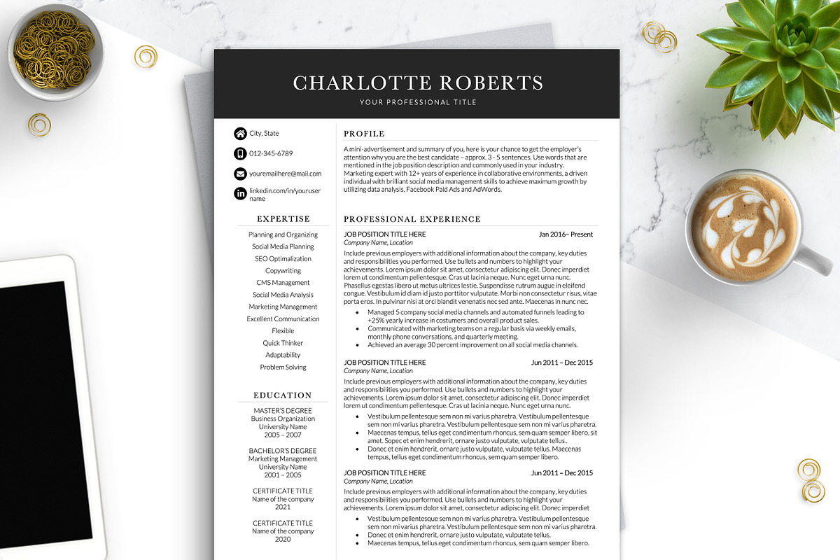 Business Resume CV/Template Word, a Resume Template by BestResumes.Co (Photo 1 of 7)