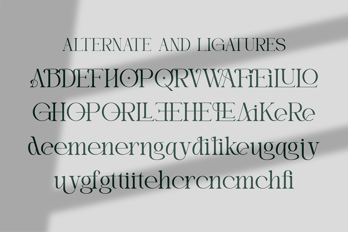 Eiden || Modern Serif Font, a Serif Font by Idea Studio (Photo 11 of 11)