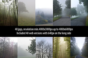 Foggy Forest Photo Pack preview 3