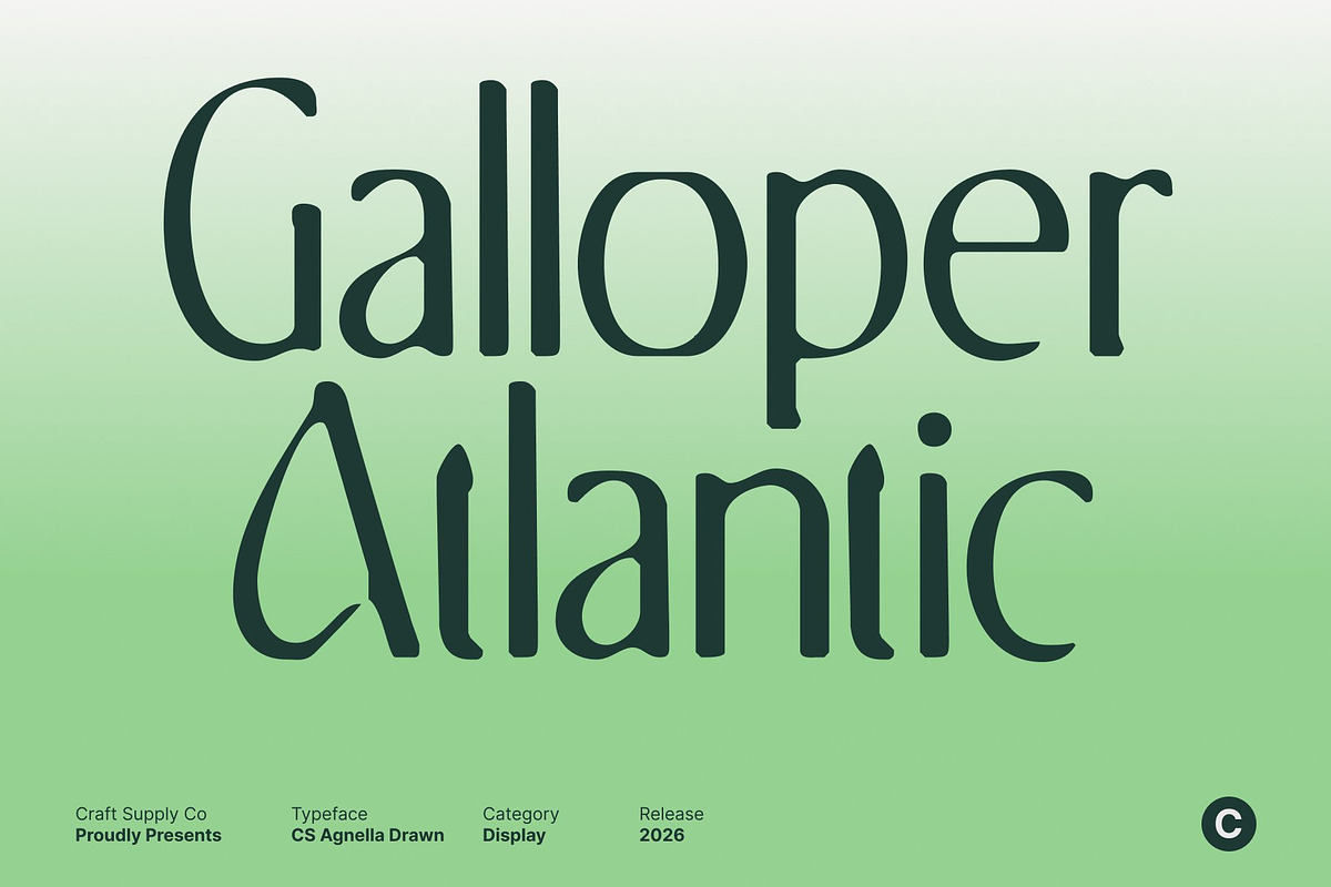 CS Agnella Drawn, a Serif Font by Craft Supply Co. (Photo 3 of 8)