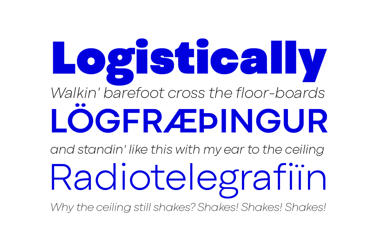 Codec Pro 22 fonts + 1 variable preview 3