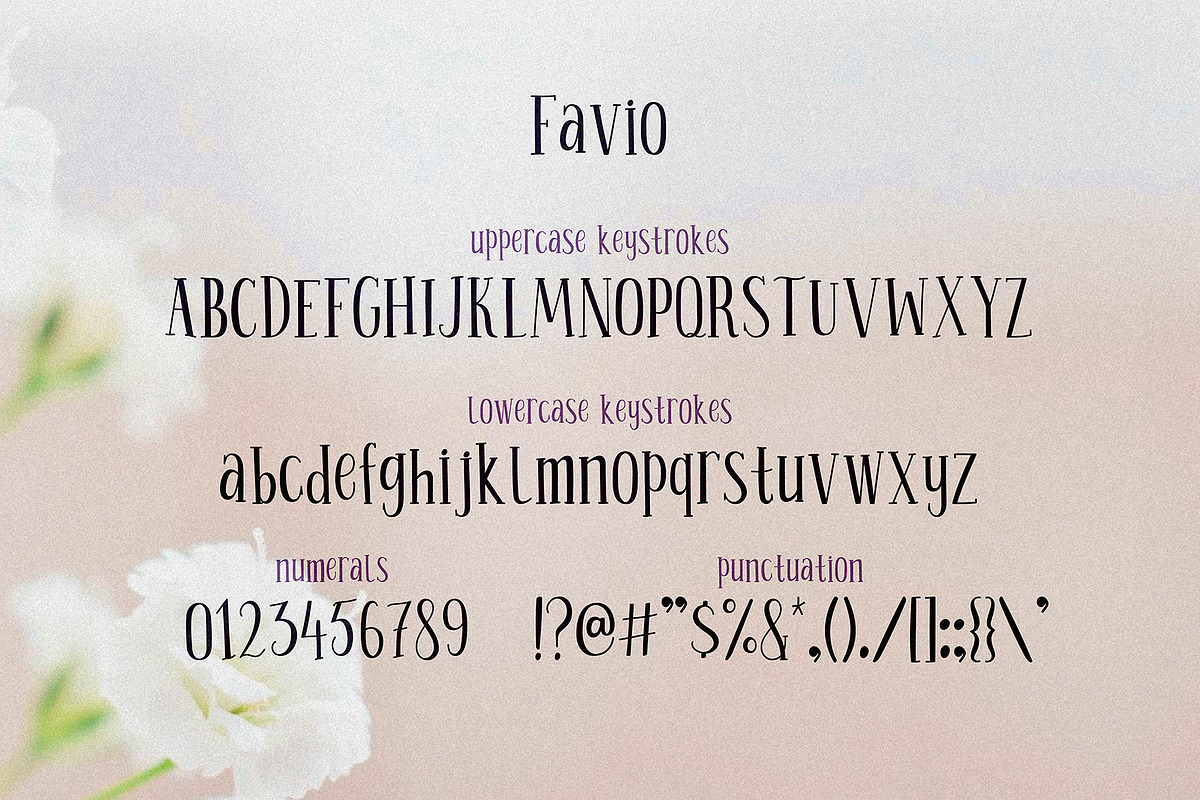 Favio - playful duo of vintage fonts, a Serif Font by Anastasia Cuza (Photo 6 of 9)