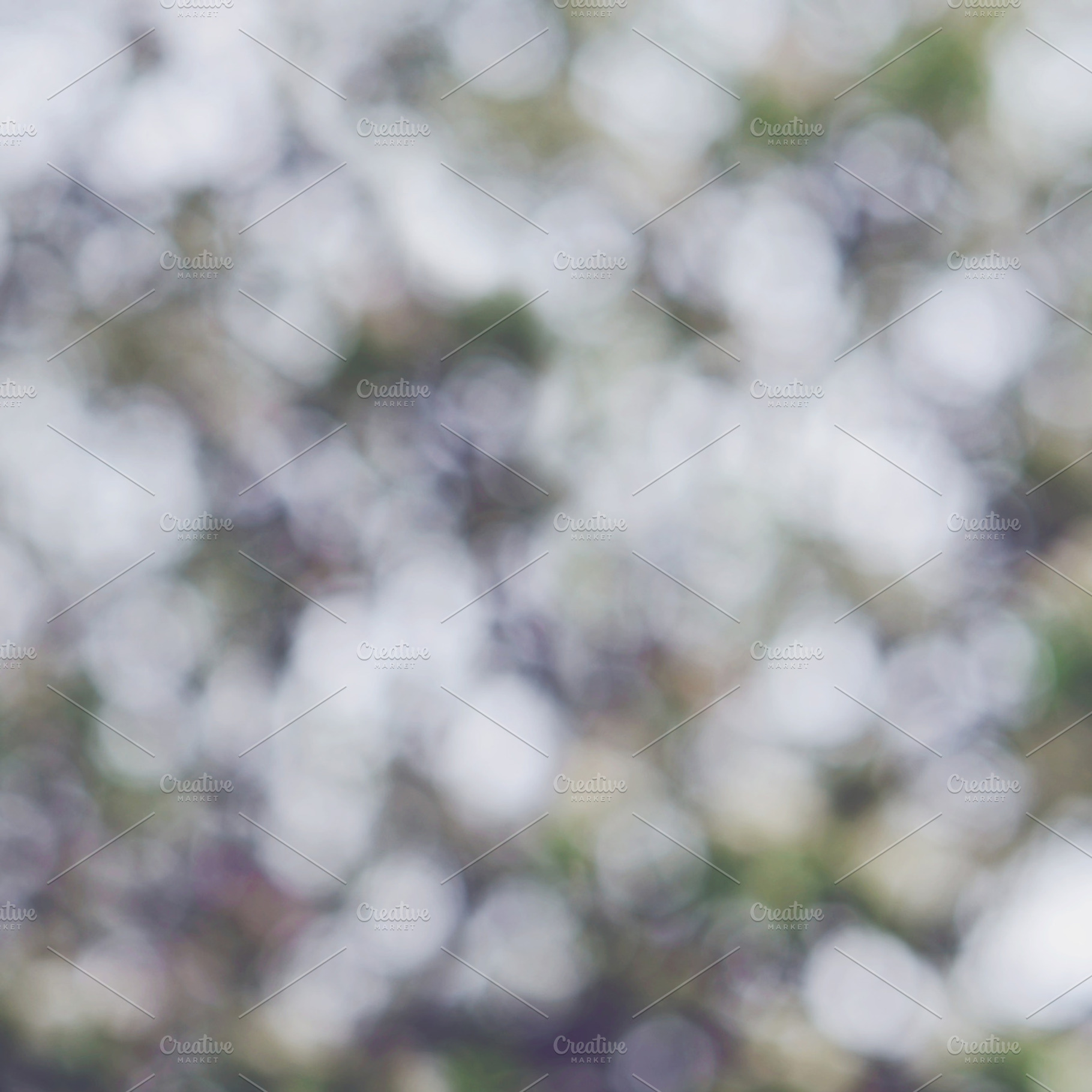Blossom bokeh, a Nature Photo by so_lizaveta
