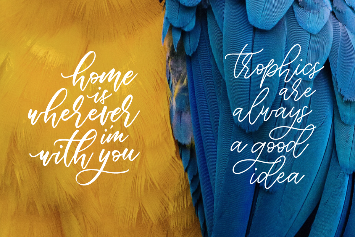 Biolatesha Calligraphy Font preview 2