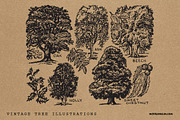 15 Vintage Textures & Illustrations, a Texture Illustration by Wes Franklin (Thumbnail 5 of 5)