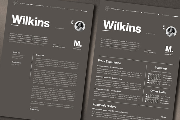 Bronze Resume With Cover Letter preview 2