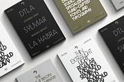 Leonidas Sans - Variable Weight Font, a Sans Serif Font by Eagle & Bison Design Co. (Thumbnail 8 of 11)