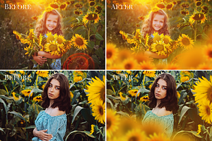 Sunflower Fields Photo Overlays