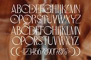 Roquila - Modern Serif Font, a Serif Font by Pandeka Studio (Thumbnail 10 of 11)