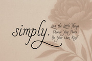 Romanster Merkuria - Elegant Script, a Handwritten Font by HypeWorksCo (Thumbnail 5 of 16)