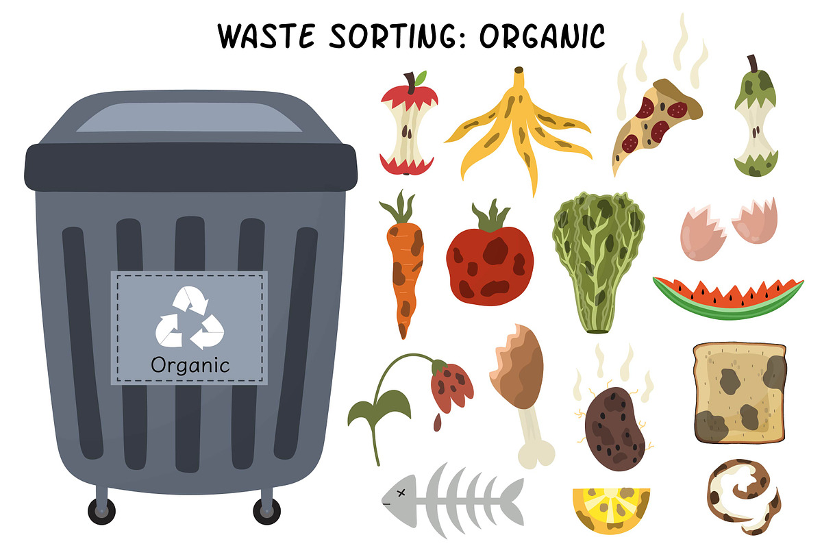 Waste Sorting Collection, a Food Illustration by Gulnara Sabirova (Photo 4 of 9)