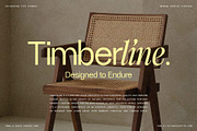 Dessign Maison - Hybrid Display Font, a Serif Font by SilverStag Type Foundry (Thumbnail 13 of 18)