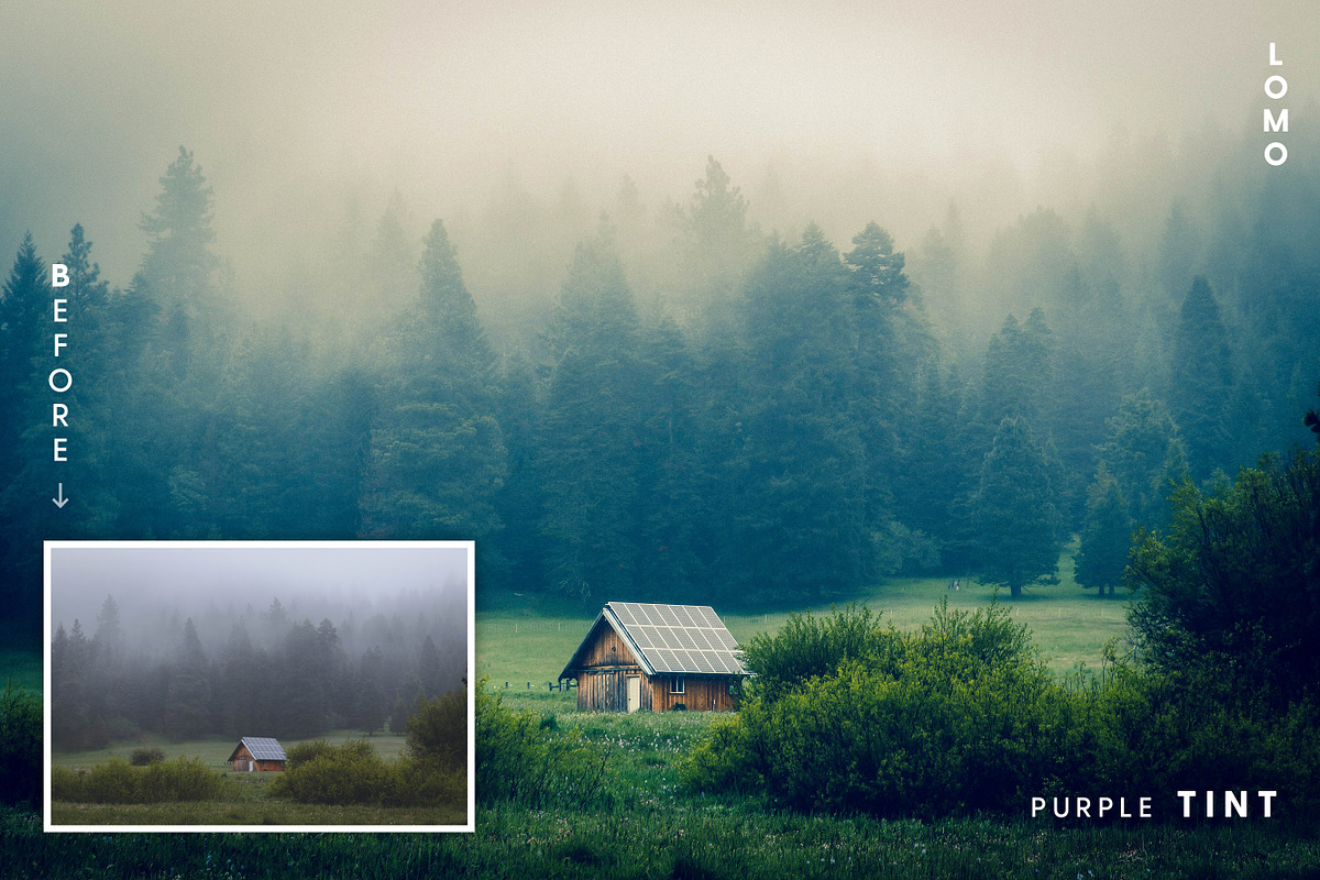 Lomogram - Actions and Presets, an Action Add-On by Hydrozi Presets (Photo 13 of 15)