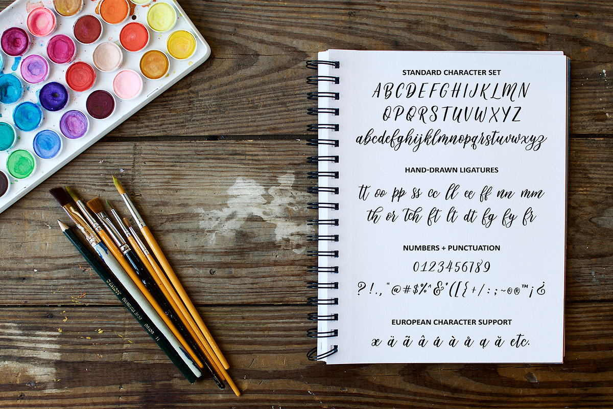 Twindigo Script Font preview 2