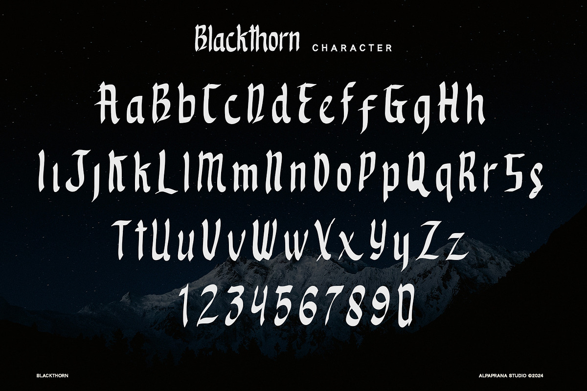 Blackthorn - Display Font, a Script Font by Alpaprana (Photo 7 of 9)